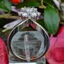 Vintage 0.66ct Diamond Cluster Leaf Ring - 18ct White Gold Image 7