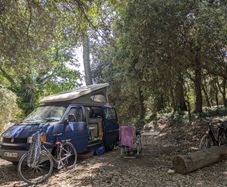 Classic T4 VW Campervan Poptop