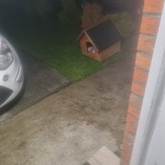 dog box