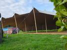 Stretch Tent Hire Image 6