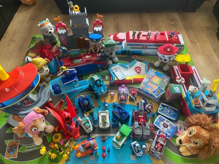 Paw patrol full kit out