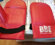 Boxing gloves brand new