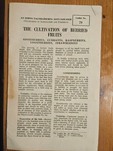 Vintage Department Of Agricultural Pamplets,and Leaflets X 13. In Good Condition.  See Photos For Same.