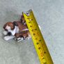 Boxer Dog With 3 Puppies Mother & Pups Figurine Image 3