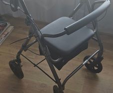 mobility walker