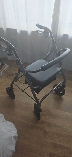 mobility walker
