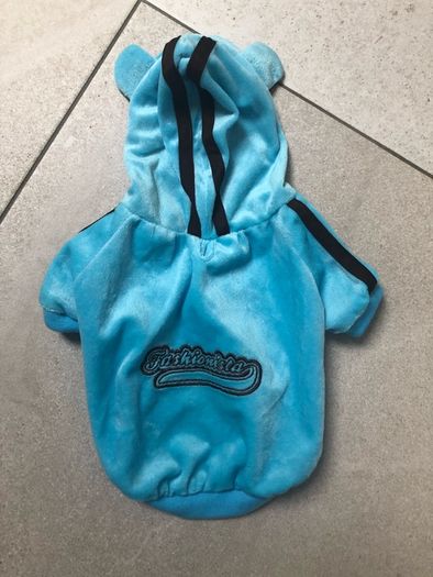 small dog (cat) velvet tracksuit