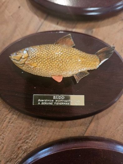 fishermans tale plaques