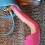 Summer Pink and Green ASOS High Heels(Size:6) Image 4