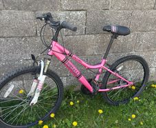 Girls Apollo recall bike