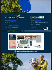 Punchestown Ticket