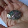 Abalone shell beads, Craft supplies, Jewellery making supplies, Shell beads, Focal beads Image 3