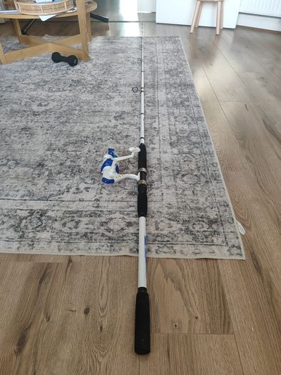 Mitchell Neuron Mackerel 300 fishing rod  with ocean lure