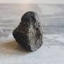 Meteorite Sikhote-Alin iron 11.30g Image 7