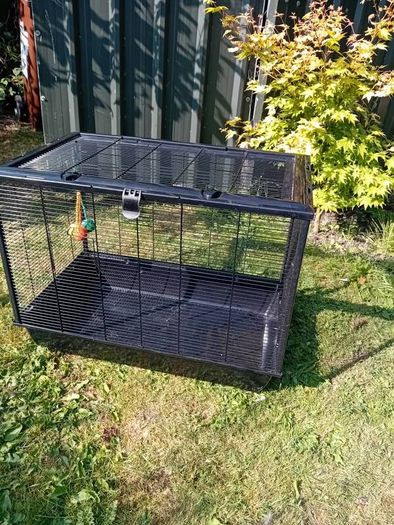 Small animal cage