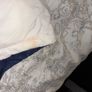 tommy hilfiger gilet Image 4