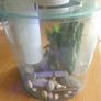 aquarium + supplies Image 3