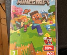 Nintendo switch Minecraft