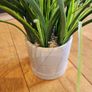 Artificial Grass Plant in Ceramic Pot - 40cm Image 3