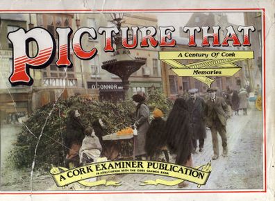 Picture That & Picture That Again (2 Books)