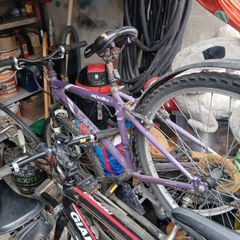 Girls mountain bike