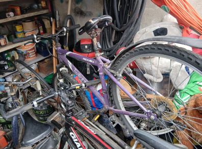 Girls mountain bike