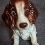 SylVac Cocker Spaniel Image 6
