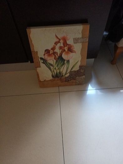Canvas   Picture.  Size. 50cm x 20cm.   In Good Condition  - No damage.