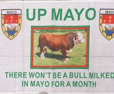 The Bull MAYO GAA flag 3ft x 2ft.