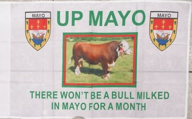 The Bull MAYO GAA flag 3ft x 2ft.