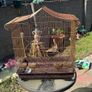 2 big bird cages and 1 small 30each 10 for small one Image 3