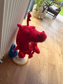 Dragon costume
