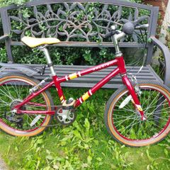 Raleigh Pop 20" kids bike