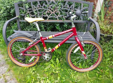 Raleigh Pop 20" kids bike