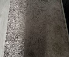 shaggy Rug