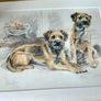 David Thompson Signed Border Terrier Limited Edition Art Print Image 2