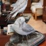Pair of Vintage Taxidermy Gulls Image 2