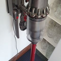 Dyson V11