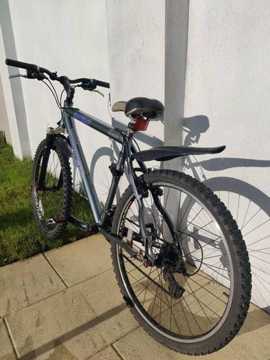 Hybrid bike