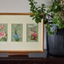 Framed Original Vintage Botanical Postcards Image 2