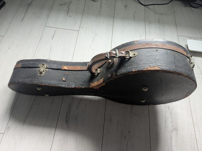 Vega Style K Banjo Mandolin Banjolin