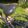 Girls bicycle Image 5