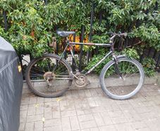 Bik