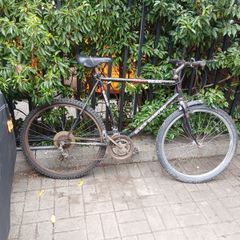 Bik
