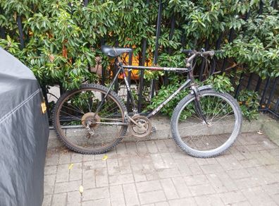 Bik