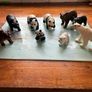 Schleich(and other) bears Image 2