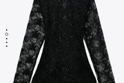 Zara Lace Sequins Top