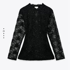 Zara Lace Sequins Top
