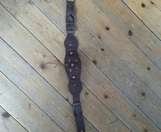 Brown belt