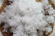 PES fiber balls (stuffing)